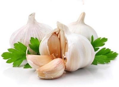 Allium Sativum