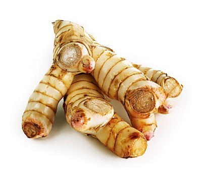 Alpinia Galanga