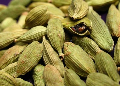 Elettaria Cardamomum