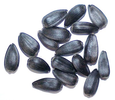 Nigella Sativa